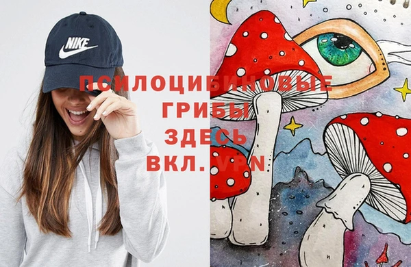 гашик Волосово