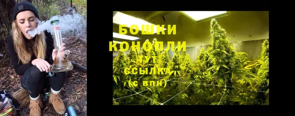 трава Волоколамск
